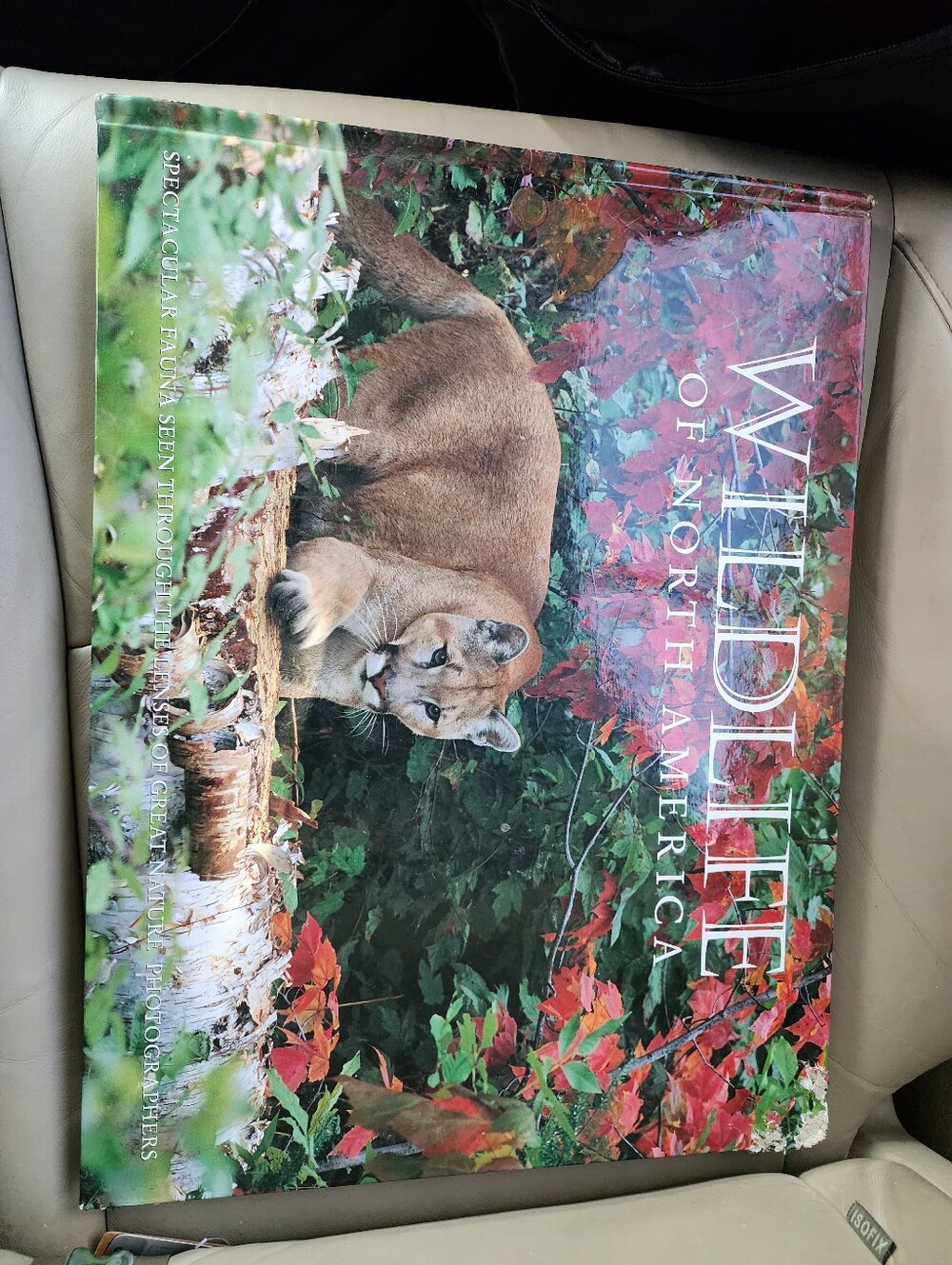 Wildlife of North America by Thomas A. Lewis.A large-format hardcover